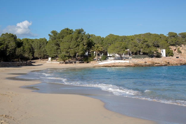 Plaża w Cala Bassa Cove, Ibiza, Hiszpania