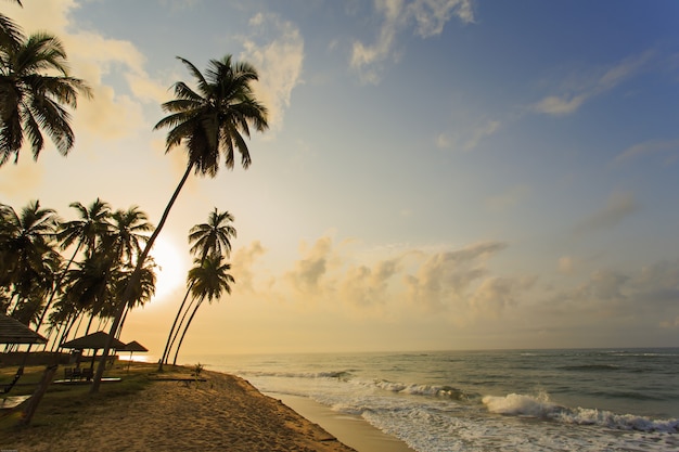 Plaża w Cape Coast w Ghanie. Rankiem