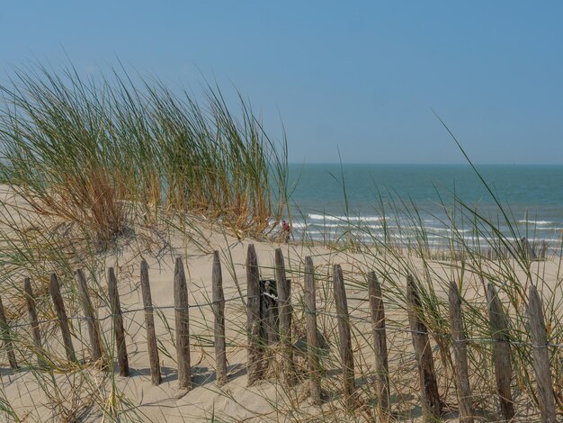 Zdjęcie plaża w pobliżu ostende