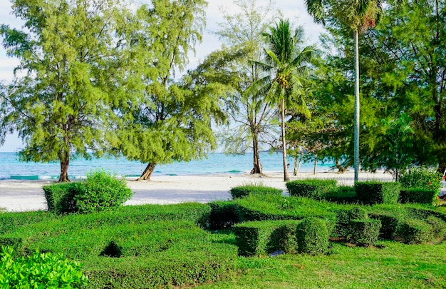 Plaża w Sihanoukville Palmy i niebieskie morze