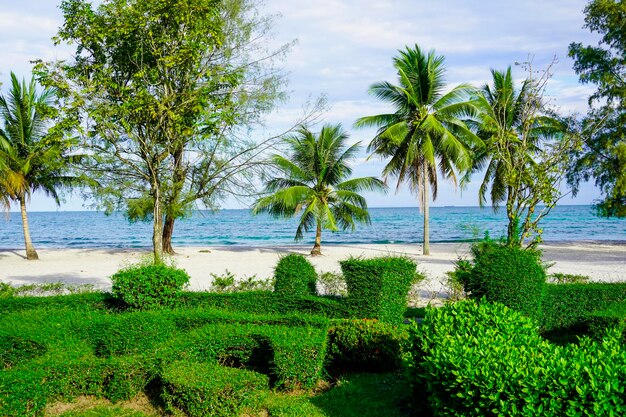 Plaża w Sihanoukville Palmy i niebieskie morze