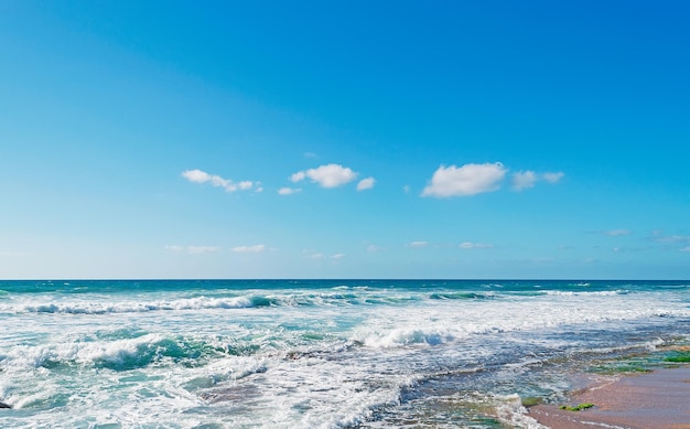 Plaża w wietrzny dzień w Castelsardo