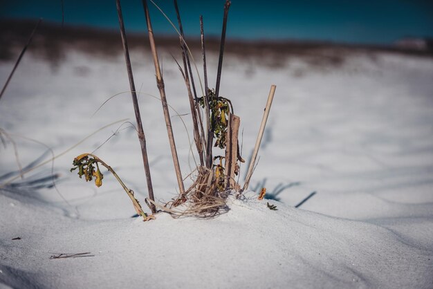 Zdjęcie plaża w zatoce meksykańskiej na florydzie eyeemnewhere