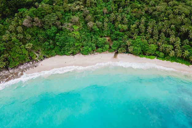 Plaża Wolności Phuket biała tropikalna plaża z palmami w Phuket w Tajlandii