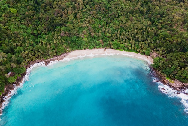 Plaża Wolności Phuket biała tropikalna plaża z palmami w Phuket w Tajlandii