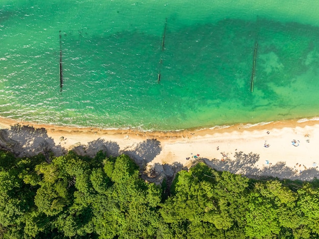 Plaża z kilkoma osobami nad Morzem Bałtyckim latem