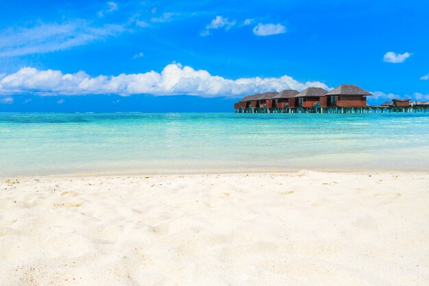 plaża z Malediwami