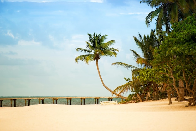 Plaża z molo i palmami na wybrzeżu Atlantyku.