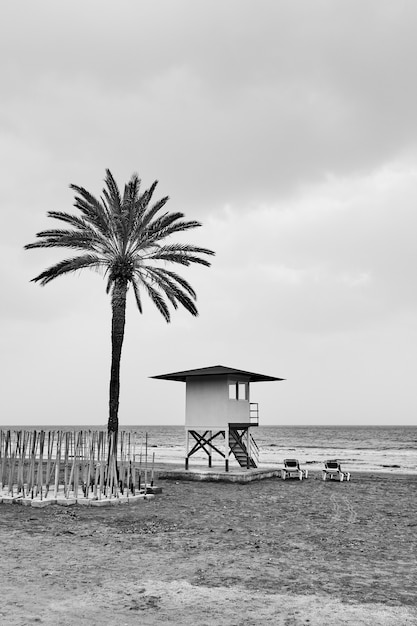 Plaża z palmą i wieżą ratowniczą nad morzem poza sezonem - fotografia czarno-biała