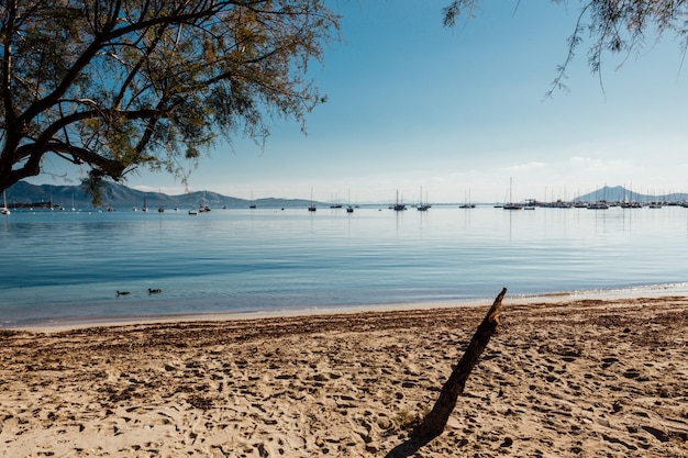 Plaża z spokojnym morzem