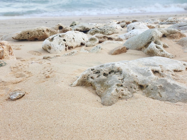 Plaża ze skałami i piaskiem plaży w tle