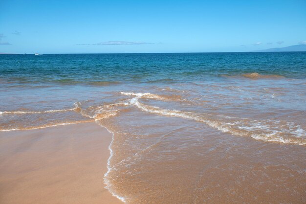 Plaża ze złotym piaskiem turkusowa woda oceaniczna panoramiczny widok na morze naturalne tło na letnie wakacje