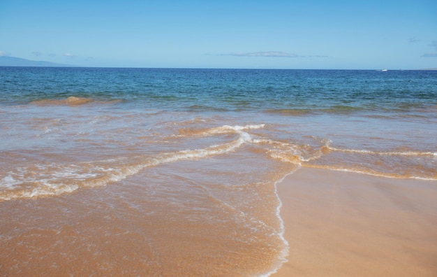 Plaża ze złotym piaskiem turkusowa woda oceanu Panoramiczny widok na morze Naturalne tło na letnie wakacje