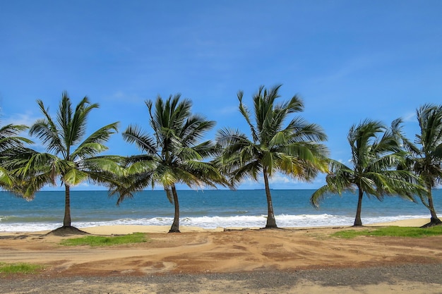 Zdjęcie plaża