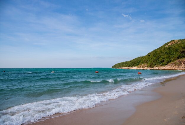 Zdjęcie plaża.