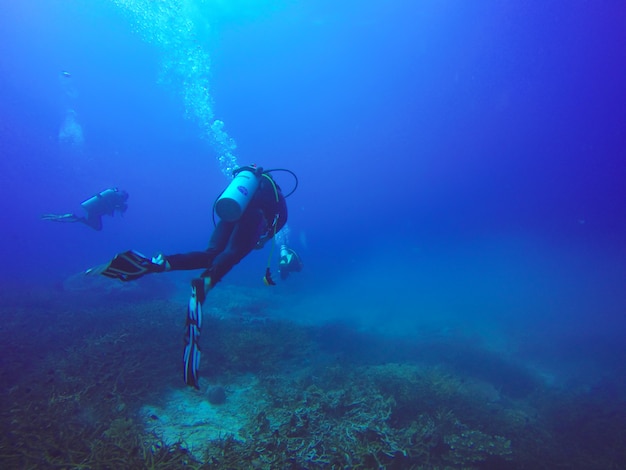 Płetwonurkowie pływają nad żywą rafą koralową pełną ryb i morskich ukwiałów.