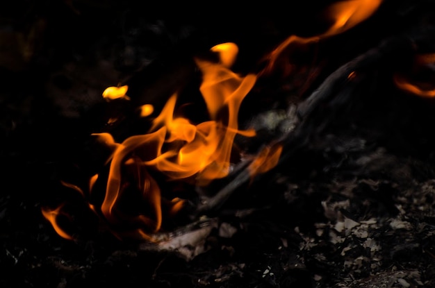 Płomień ciepło ogień abstrakcyjne tło czarne tło realistyczna koncepcja płomienia