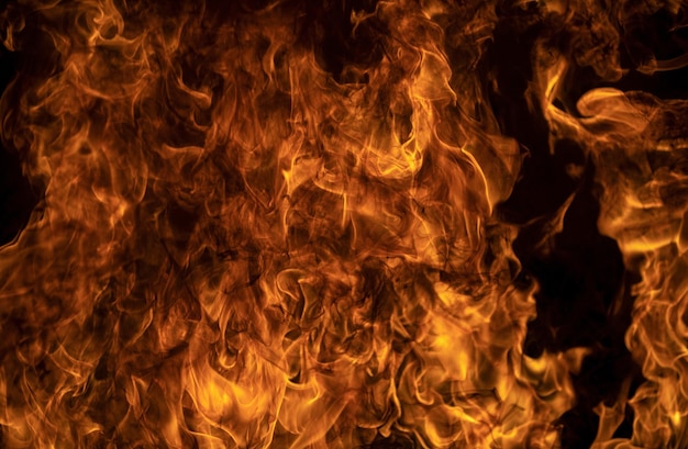 Zdjęcie płomień ognia pal światła na czarnym tle