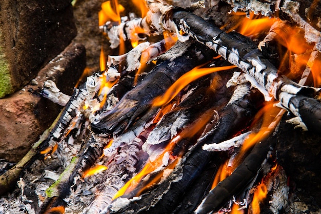 Płomień Ogniska Płonące Drewno Opałowe W Kominku Zbliżenie