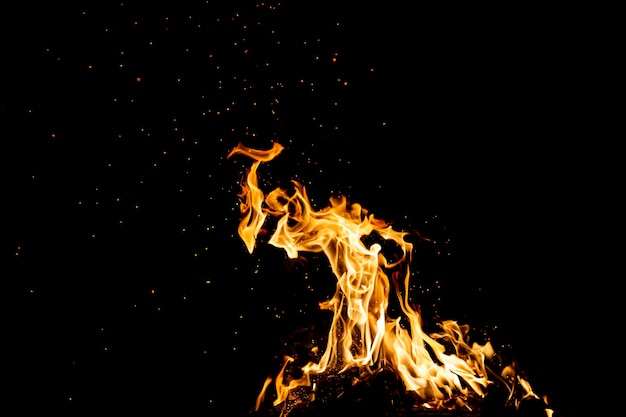 Płonące lasy z iskrami ognia, płomieniem i dymem. Dziwne dziwne, żywiołowe ogniste postacie w czarną noc.