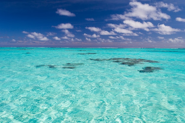 Płytka rafa koralowa w turkusowej przezroczystej wodzie, Wyspy Cooka