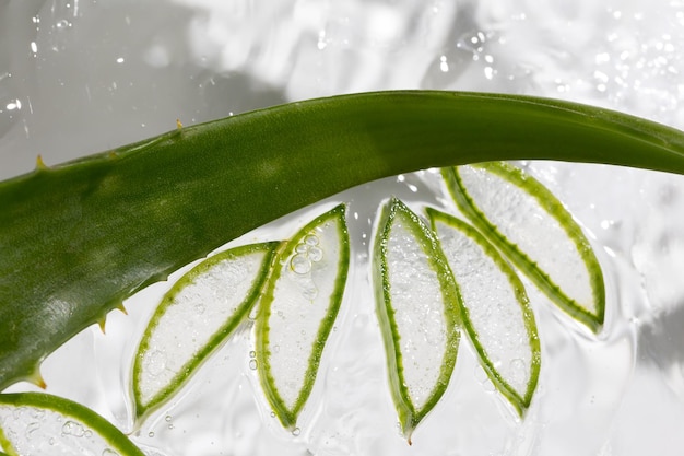 Zdjęcie płytki i liście aloe w nawilżającym żelu leczniczym