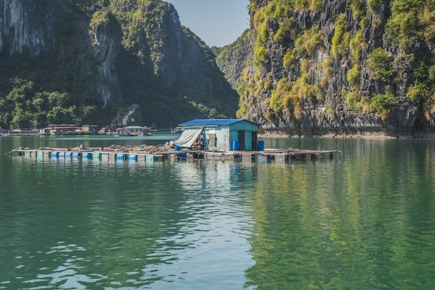 Pływająca wioska rybacka w ha long bay cat ba island wietnam azja