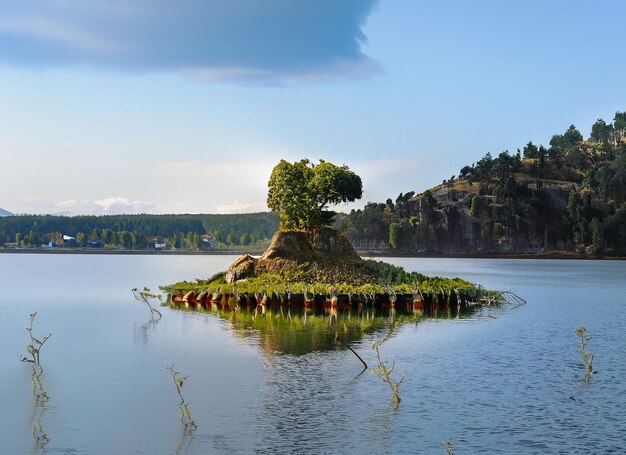 Pływająca wyspa