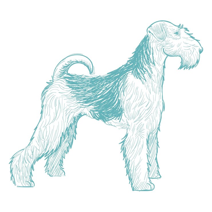 Zdjęcie png airedale terrier szkic ilustracja przezroczyste tło