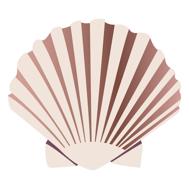 Png element Seashell przezroczyste tło