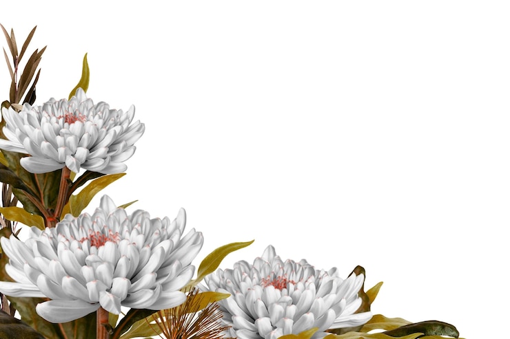 Zdjęcie png kwiatowa naklejka botaniczna na przezroczystym tle