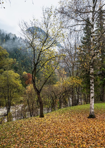 Pochmurna i mglista jesień alpejska scena górska Austriackie Lienzer Dolomiten Alps