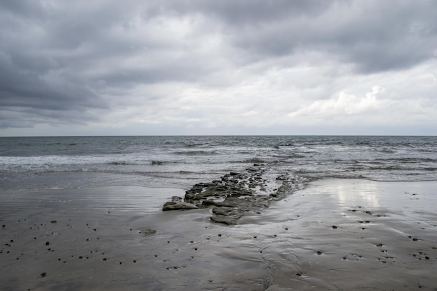 Pochmurne Fale Wybrzeża Plaży