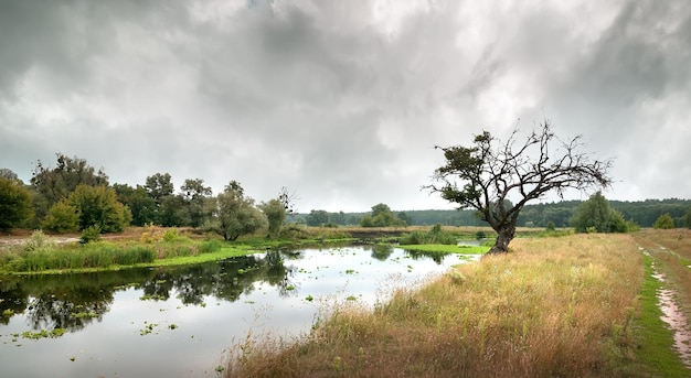 Pochmurne niebo nad rzeką jesienią