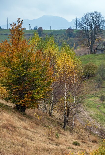Pochmurny i mglisty dzień scena jesiennych gór Pokojowe malownicze podróże sezonowy charakter i scena piękna wsi Karpaty Ukraina