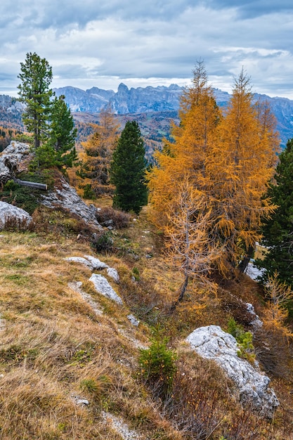 Pochmurny poranek jesień alpejskie Dolomity górska sceneria Spokojna Valparola Ścieżka widok Belluno Włochy