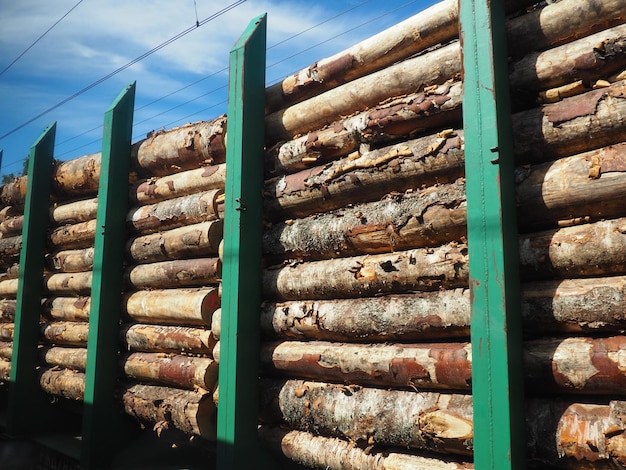Pociąg do przewozu drewna Otwarty wagon z wiązką drewna na eksport Wylesianie i ekologia Transport towarów koleją Logistyka biznesowa Ekologiczne stalowe kajdany Nielegalne wyręby