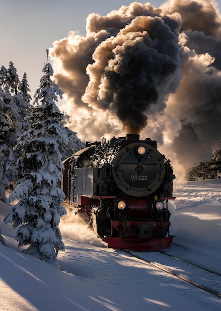 Zdjęcie pociąg na pokrytym śniegiem torze kolejowym na tle nieba