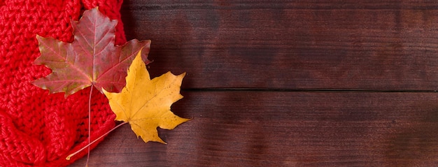 Początek jesieni Czerwony sweter z dzianiny i żółte opadłe liście na ciemnym drewnianym tle