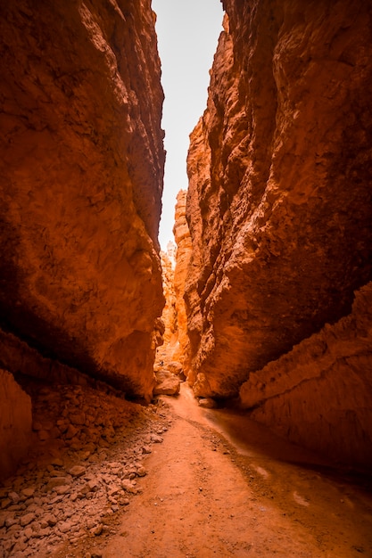 Początek szlaku Navajo Loop Trail w Bryce National Park w stanie Utah. Stany Zjednoczone