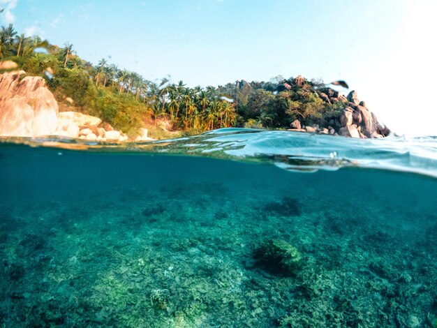 Zdjęcie pod morzem i zatoką na koh tao