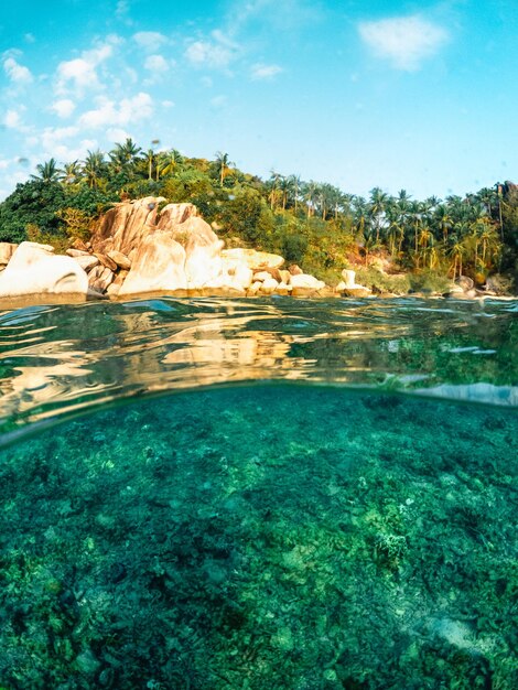 Pod morzem i zatoką na Koh Tao