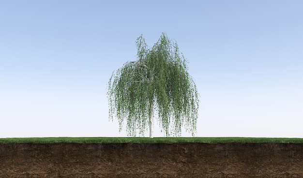 Pod nim wycięte drzewo liściaste i gleba, renderowanie 3d