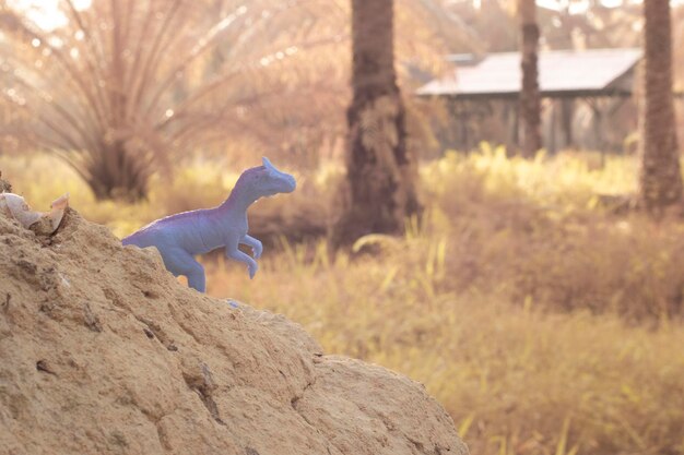Podczerwony obraz zabawek dinozaurów na wysuszonym wzgórzu płaskowyżu