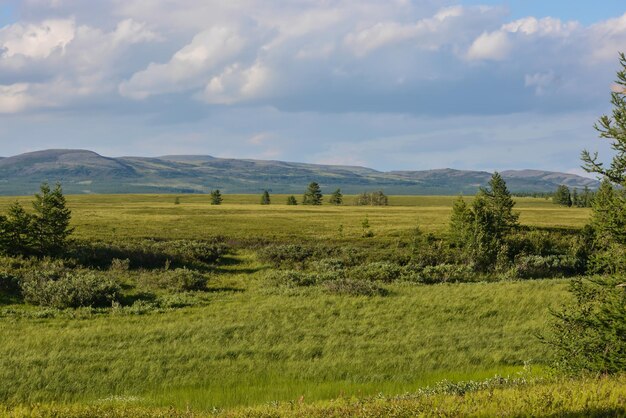 Podgórska tundra