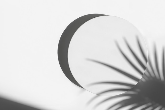 Podium na prezentację produktów kosmetycznych Abstrakcyjna minimalna geometria Cylinder Kamienna kula jedna forma Cień liści palmowych Scena do pokazania Gablota wystawowa Modne światło słoneczne Płaskie ułożenie Widok z góry 3D
