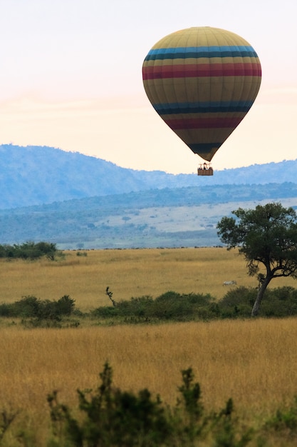 Zdjęcie podróż balonem na ogrzane powietrze. kenia, afryka