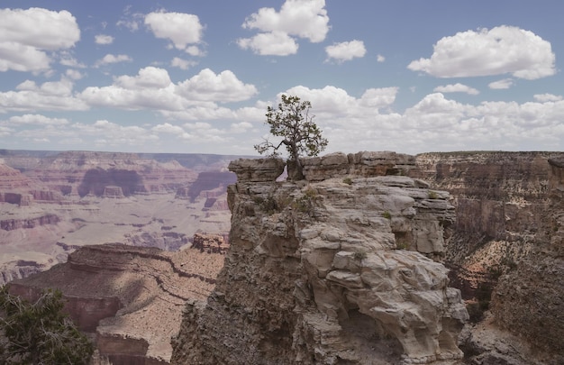 Podróż do USA Grand Canyon National Park panorama arizona