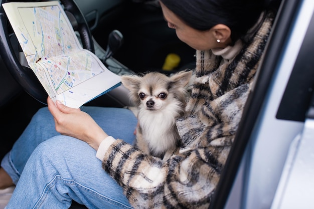 Podróż dziewczynki i psa chihuahua w samochodzie z mapą drogową