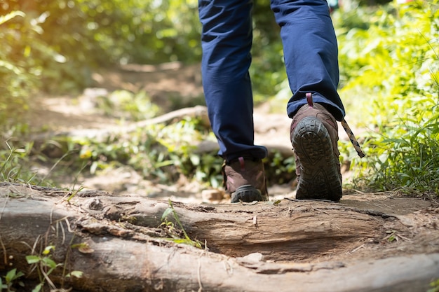 Podróżnik W Butach Turystycznych Trekking Na ścieżce W Lesie Z Bliska